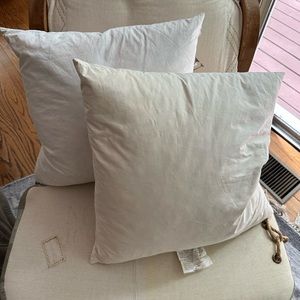 Down feather pillow inserts, 18” square